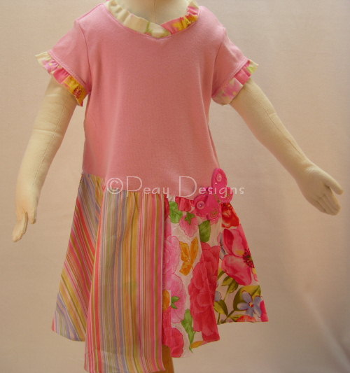 Baby Lulu Wild Rose Shirt Dress Girls Sz 2T New